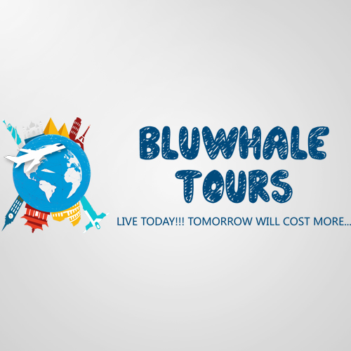 bluwhale tours logo